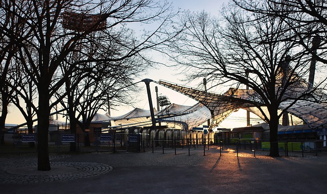 他未来发展