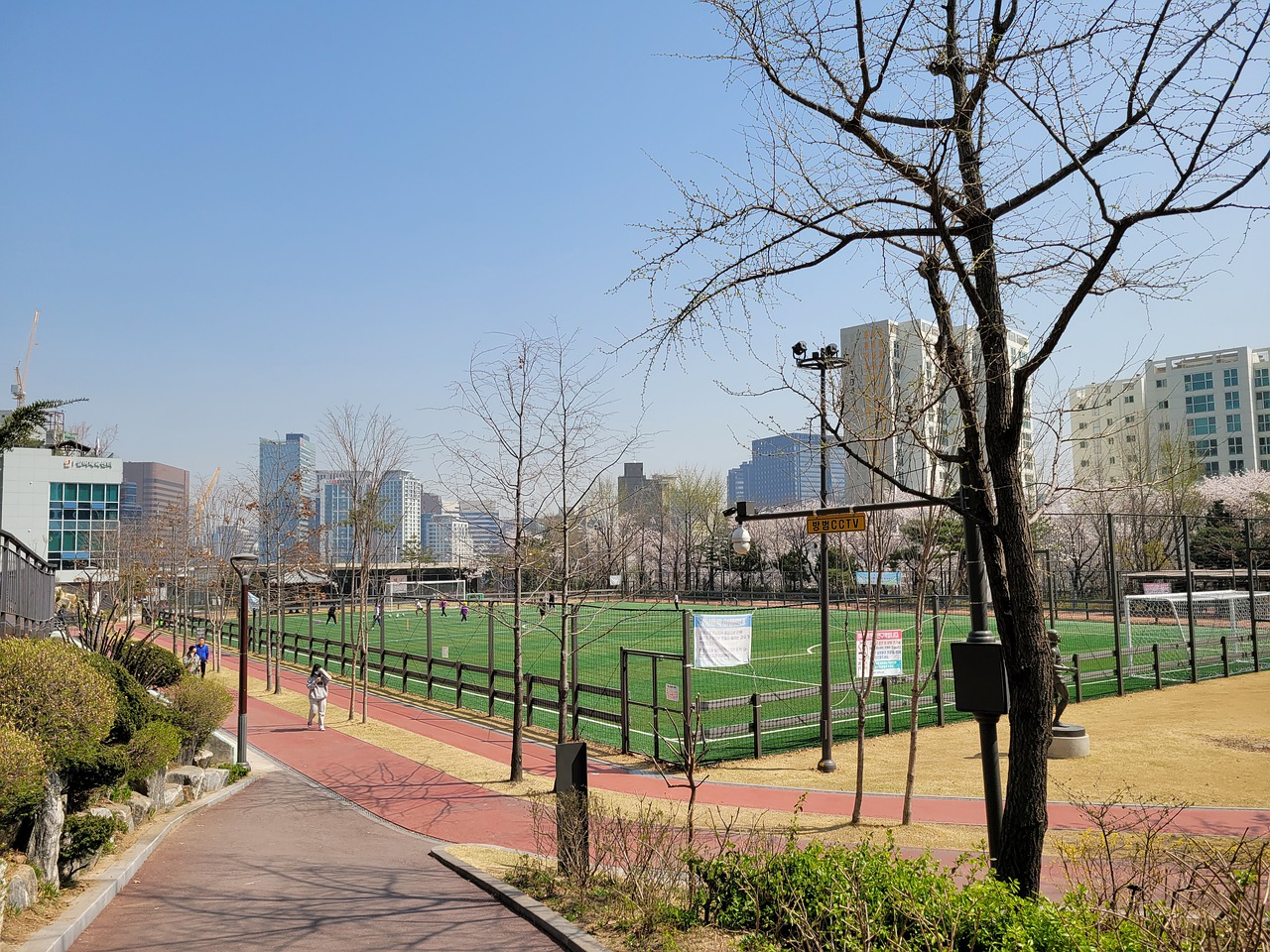 标志性球员 标志性球员