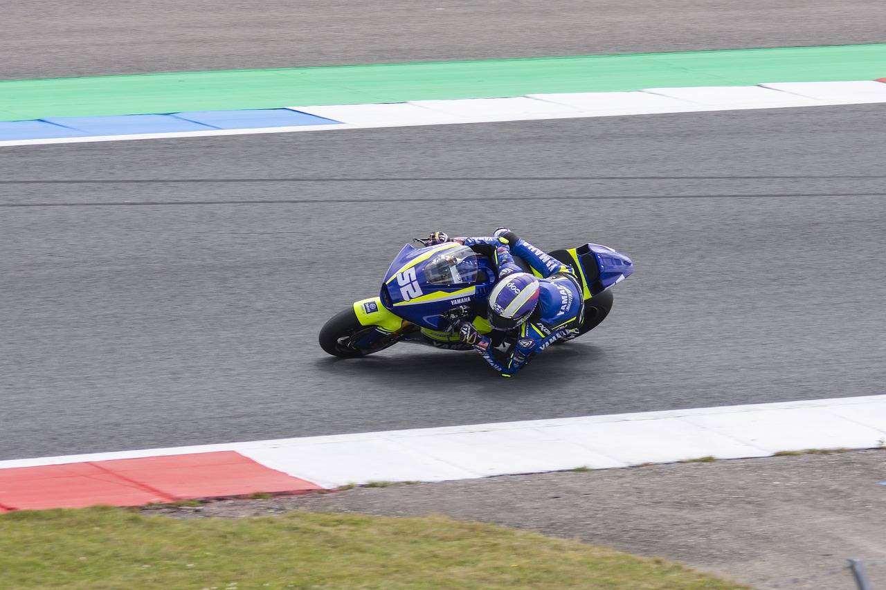 费雷尔倾向 费雷尔倾向