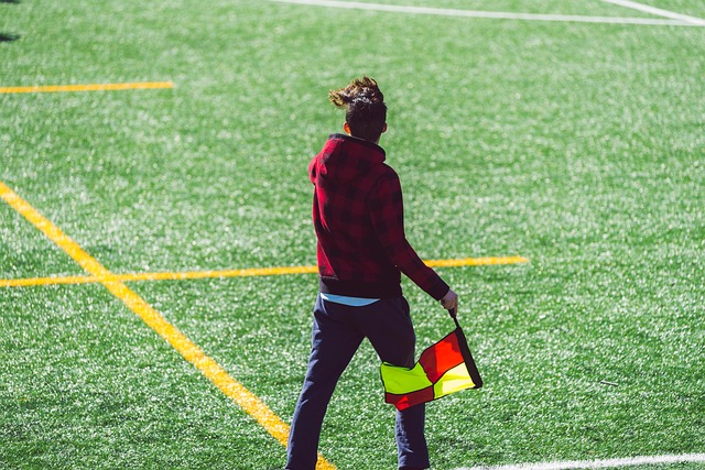 和处罚行动 和处罚行动