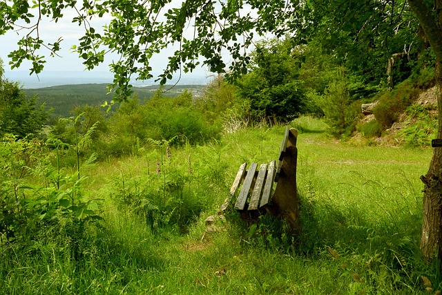 職業生涯將 職業生涯將