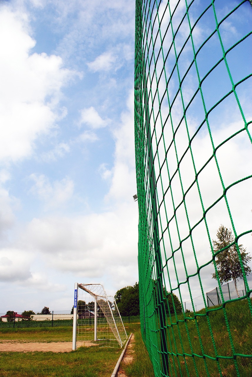 准的卡位和 准的卡位和